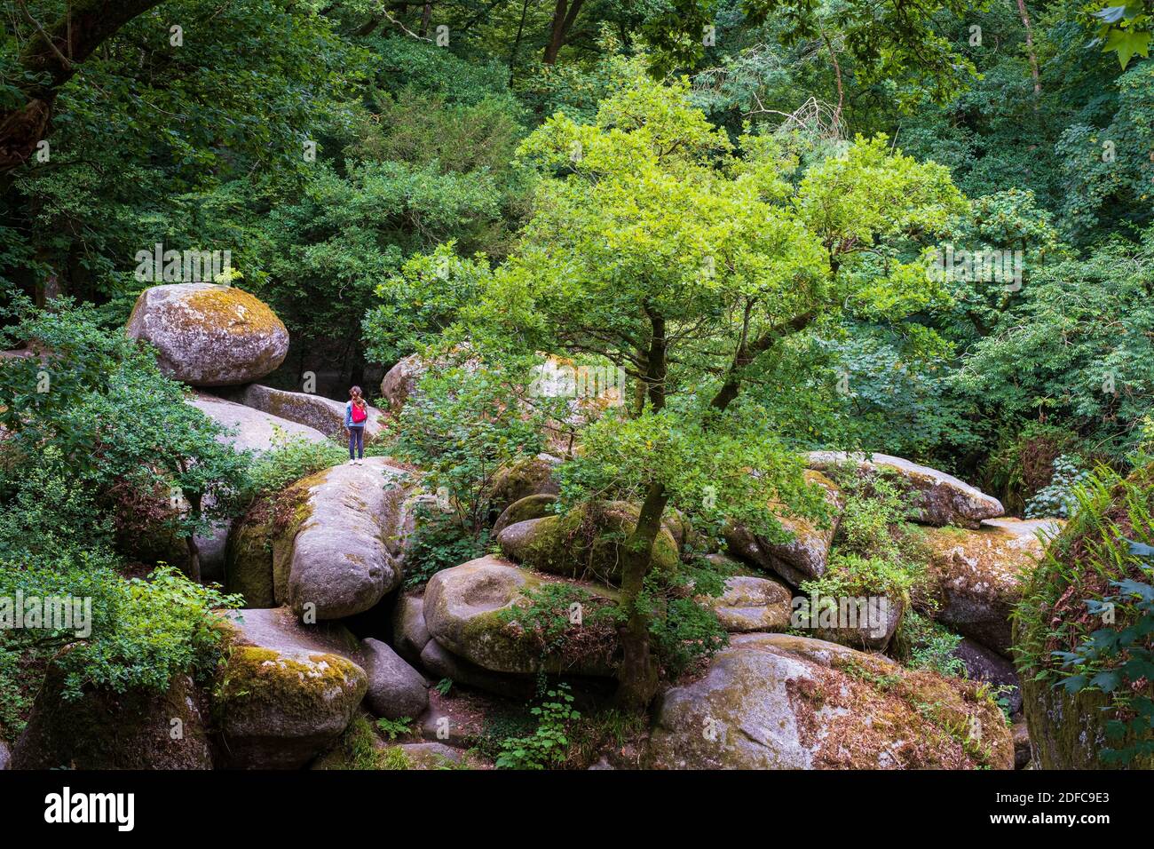 France, Finistere, Armorica Regional Nature Park, Stock Photo
