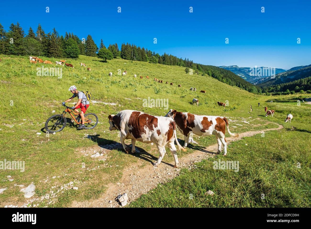 France, Isere, Vercors Regional Natural Park, LansenVercors, hike to