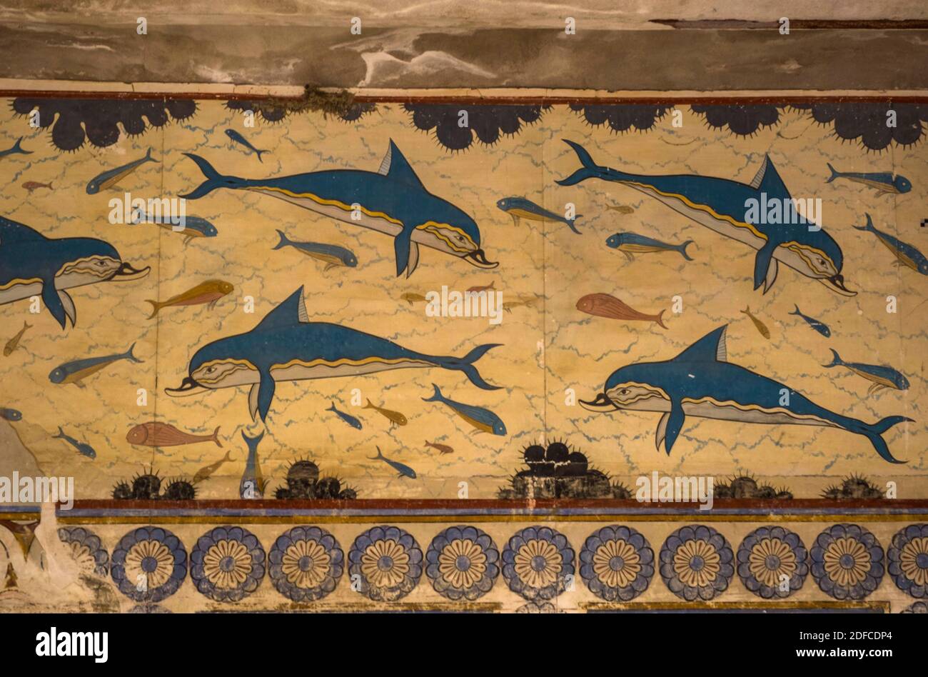 Dolphin Fresco High Resolution Stock Photography And Images Alamy Dolphin Fresco High Resolution Stock Photography And Images Alamy