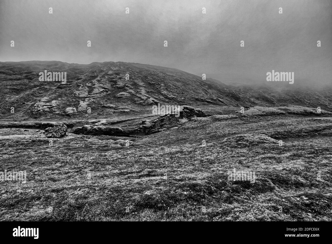 Bizarre lava formations surrounded by cotton grass, Skaelingar mountain shelter on the edge of the Skafta-lava, near Skafta Stock Photo