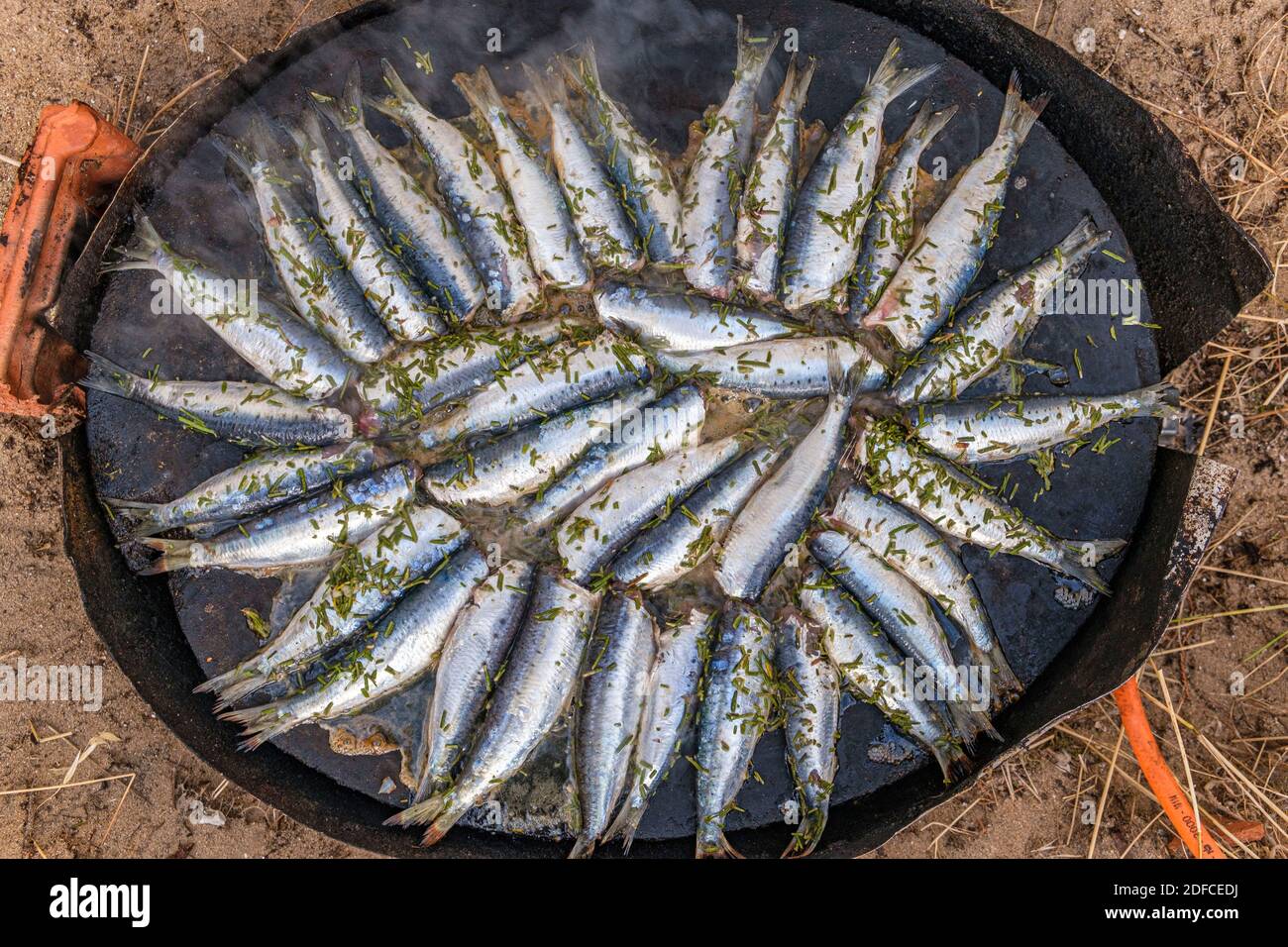 France, Charente Maritime, Oleron island, grilled sardines (Sardina pilchardus) Stock Photo