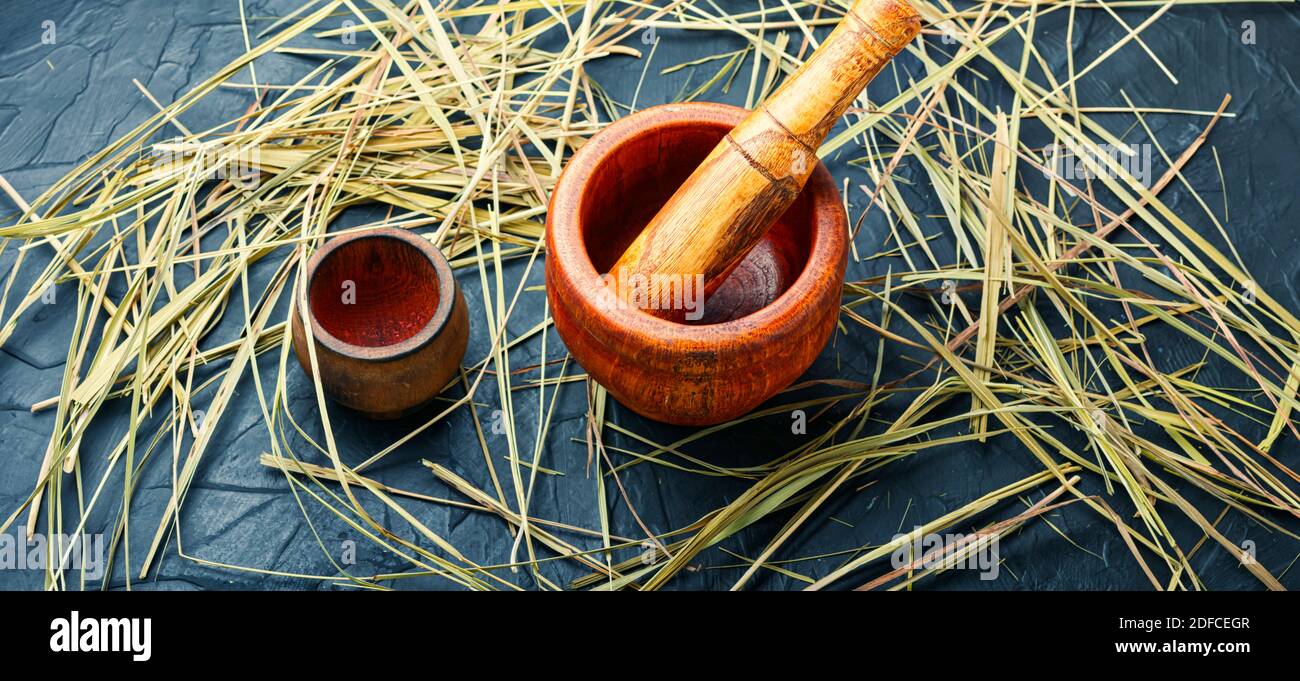 Medicinal use of the herb sweet grass.Herbal medicine,homeopathy Stock Photo
