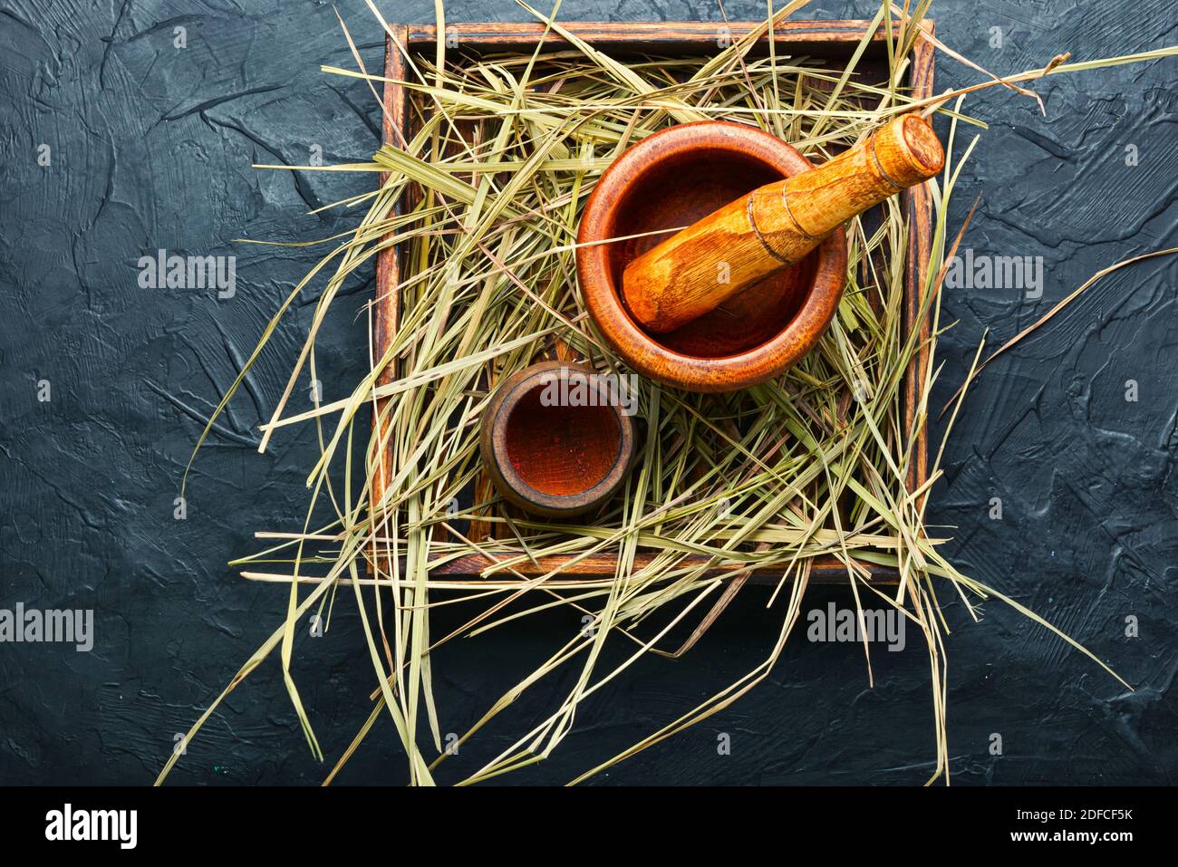 Medicinal use of the herb sweet grass in herbal medicine. Stock Photo