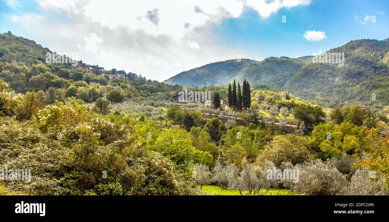 Beautiful landscape in central Tuscany Italy Italy Stock Photo