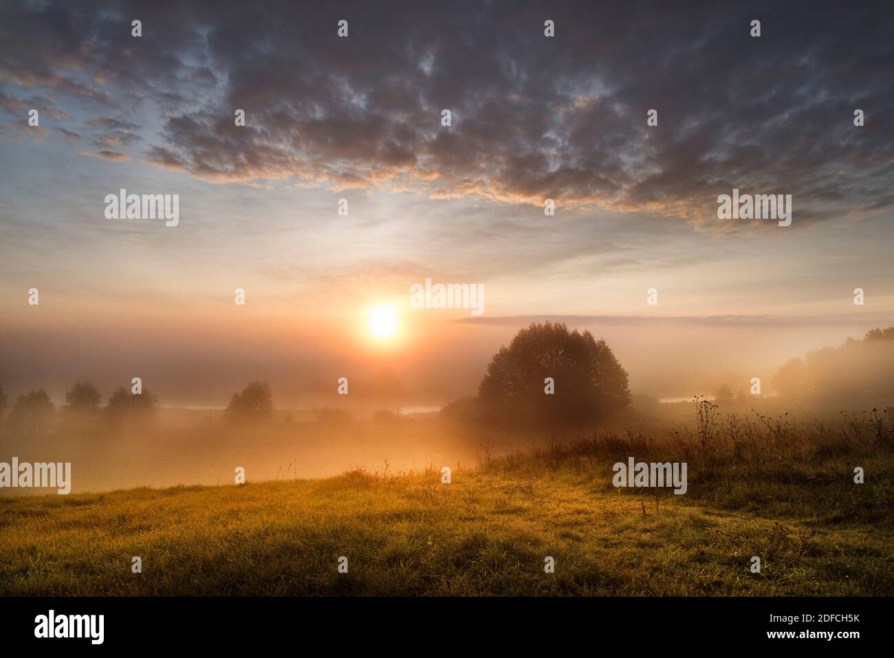 Landscape, fog, foggy, misty sunrise, beautiful morning, clouds, sky Stock Photo