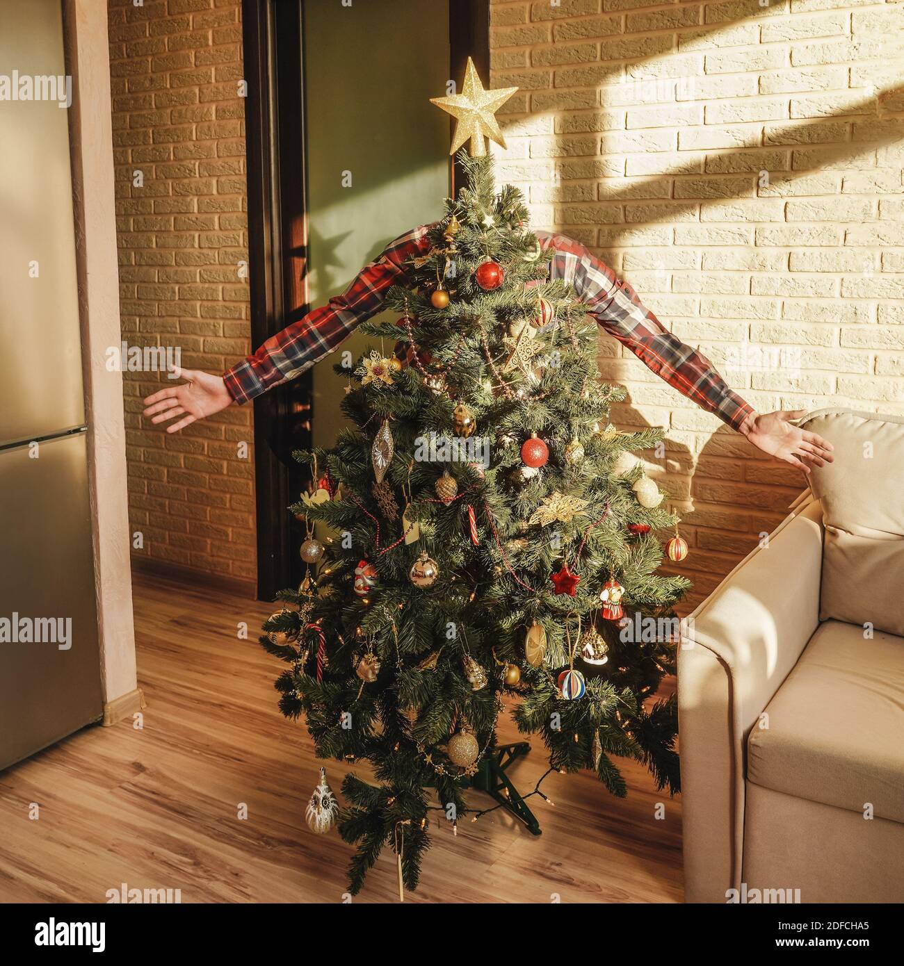 Christmas tree with decoration and mans hands. Funny concept, tree like man  Stock Photo - Alamy