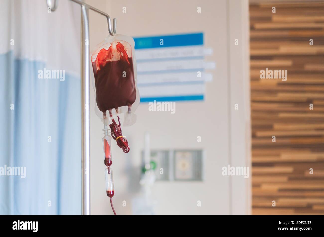 Blood transfusion in medicine patient in hospital. Stock Photo