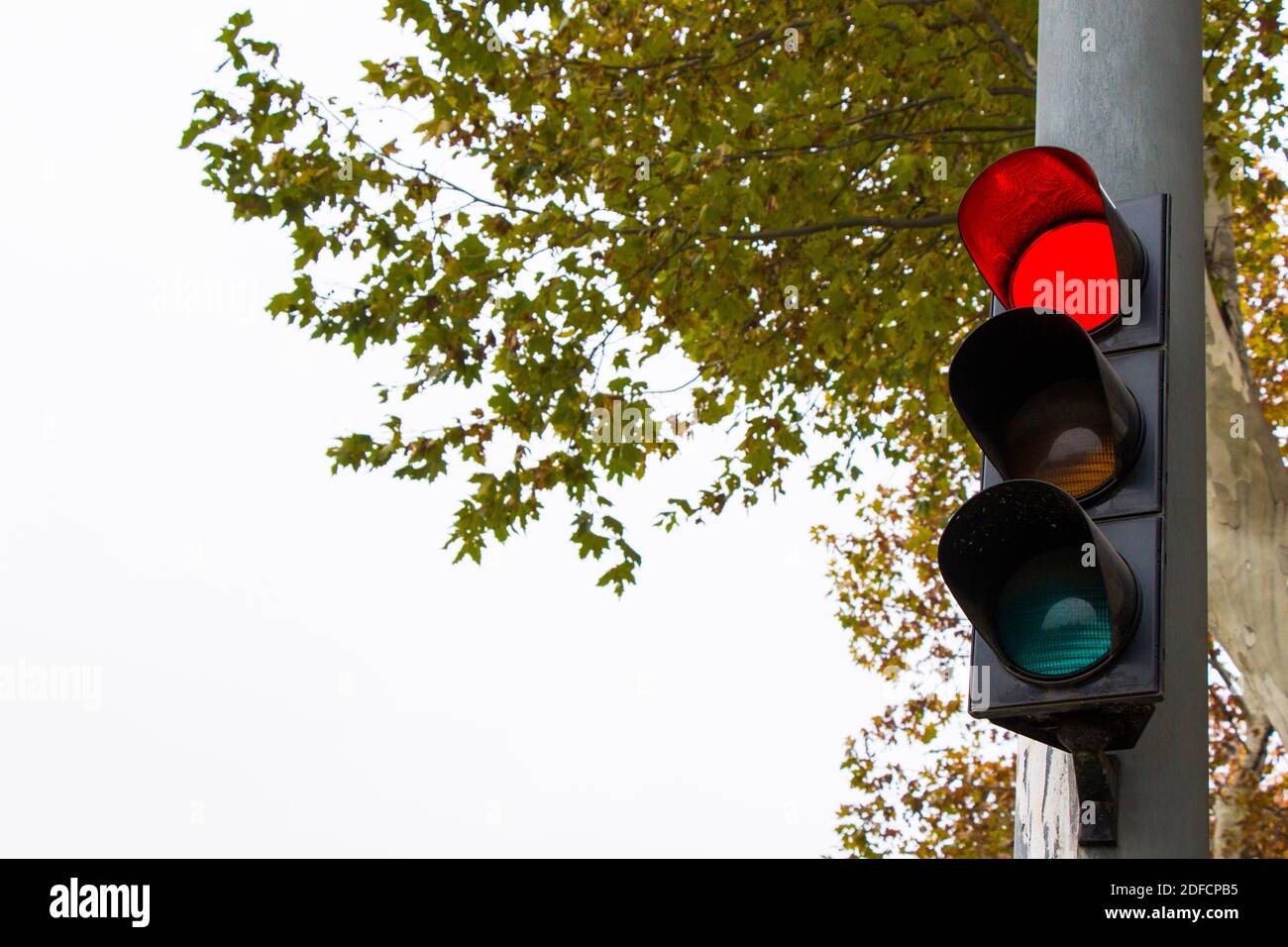 Traffic light, red light signal closeup Stock Photo Alamy