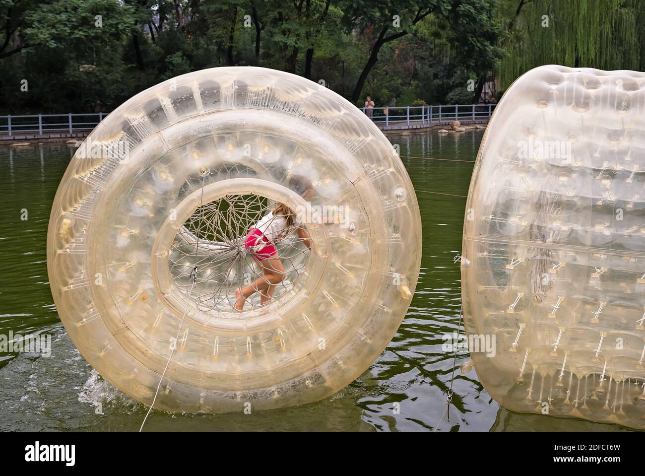 A girl in an inflatable walking water roller Stock Photo Alamy