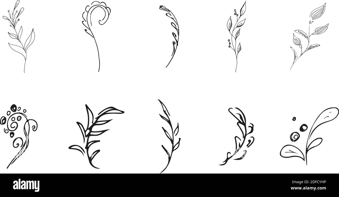 Whit Simple Doodle simple vector collection of 10 hand-drawn floral elements. Big ...