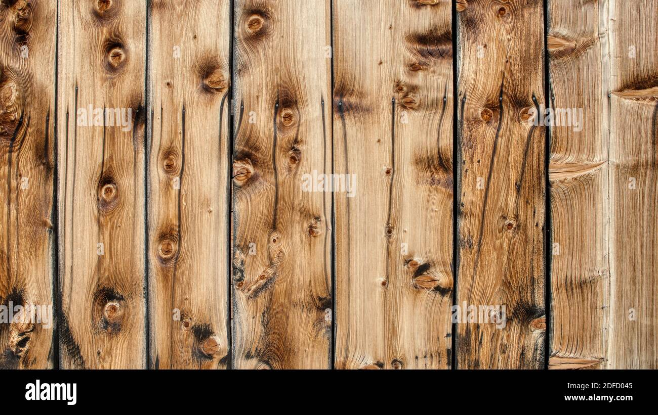 Wood texture background surface with old natural pattern Stock Photo