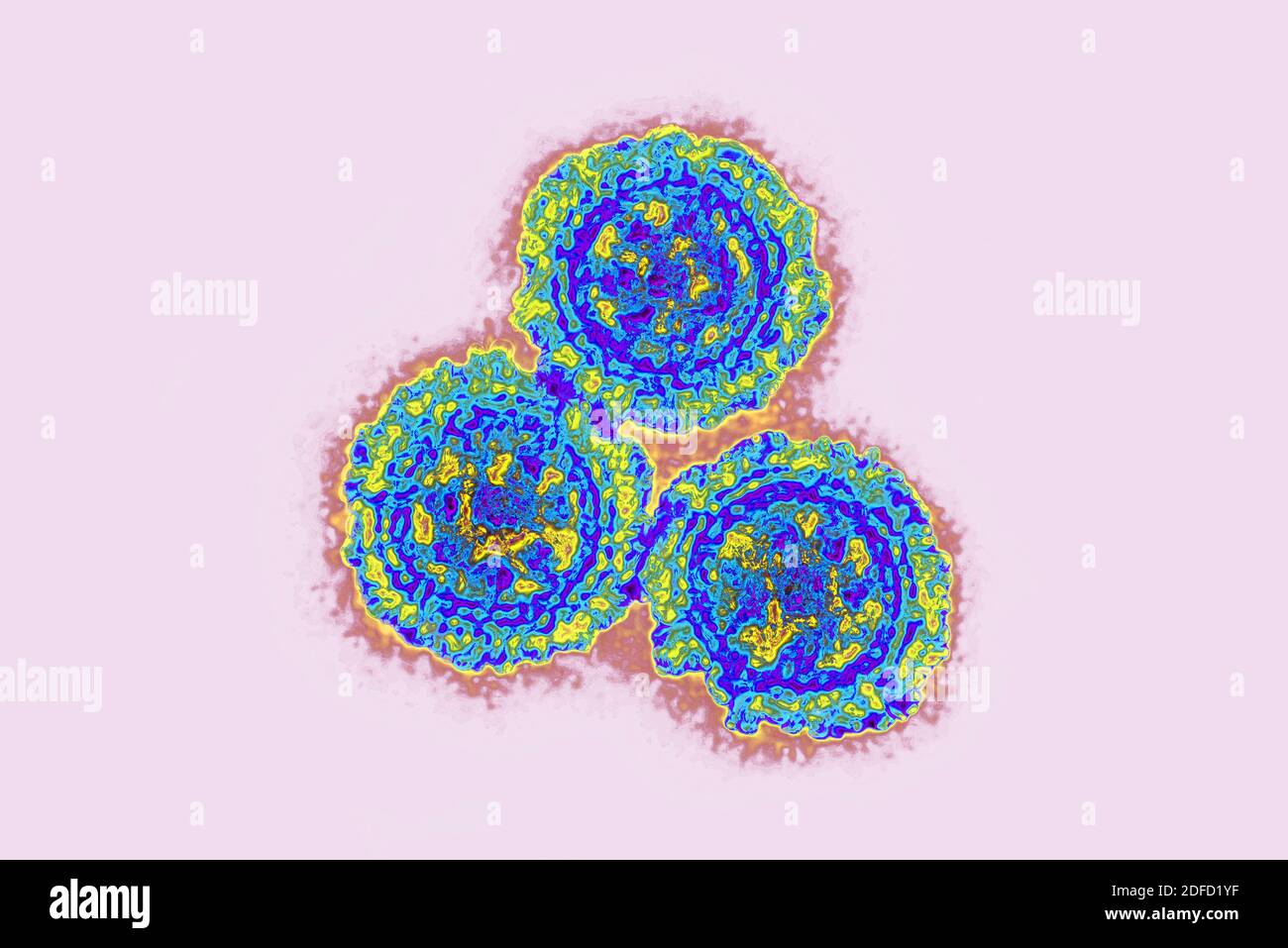 Sars cov 2 em hi-res stock photography and images - Alamy