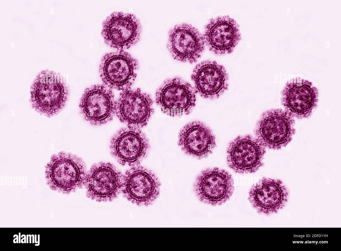 Coronavirus Stock Photo