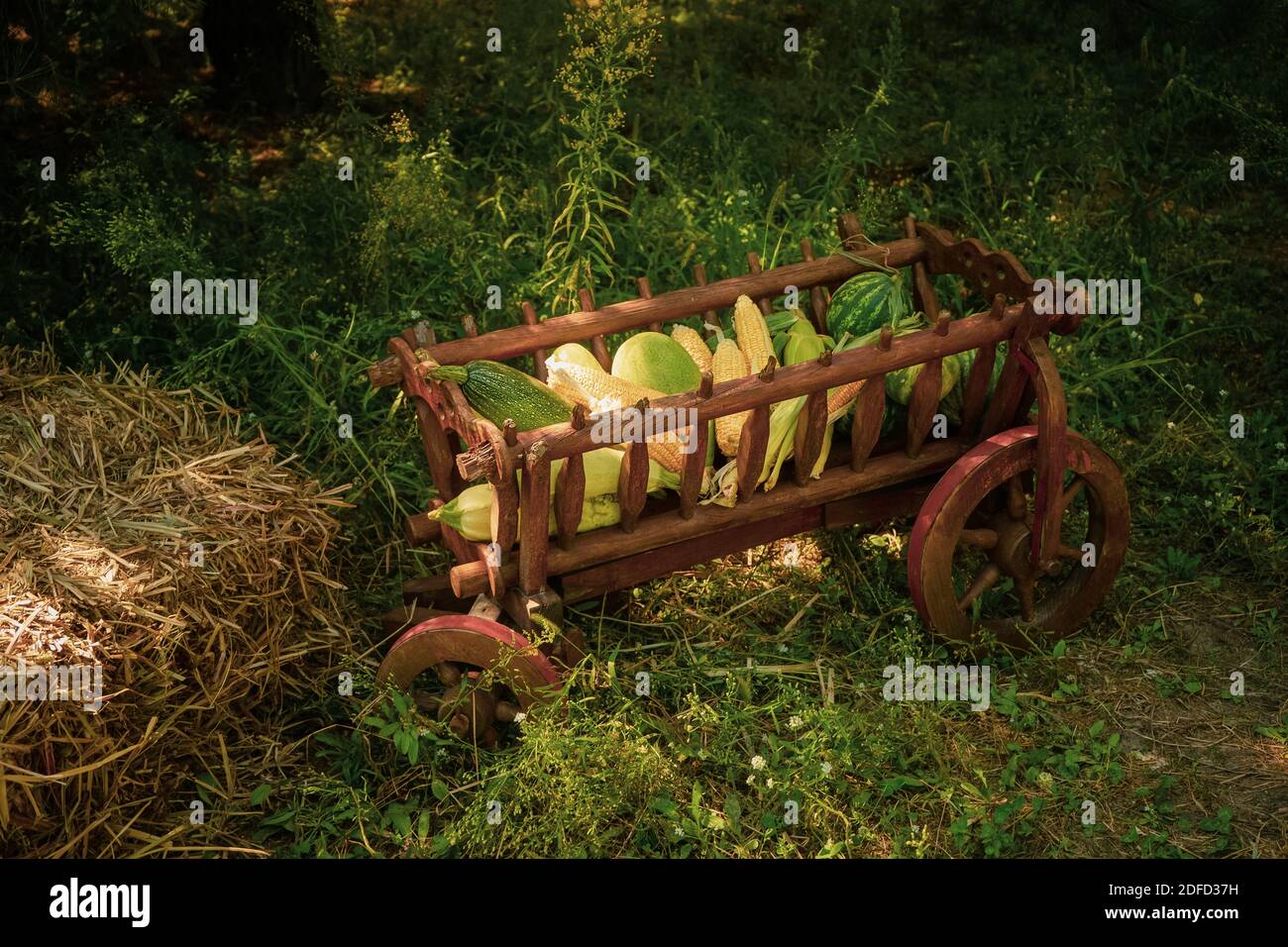 Decorations for harvest festival with a wooden manger with gifts from the fields of corn, watermelon, zucchini standing in the garden near the house Stock Photo