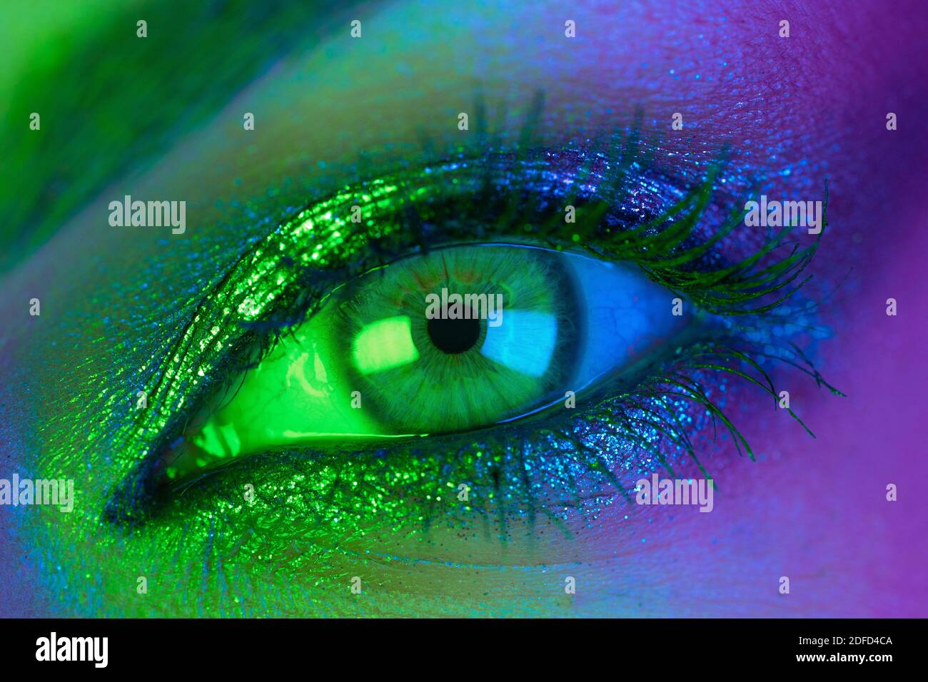 Extreme close up of female eye iris under neon light. Woman with beautiful  makeup, glitter shadows and false lashes. Girls green eye. Nightlife, night  Stock Photo - Alamy, image size:1300x956