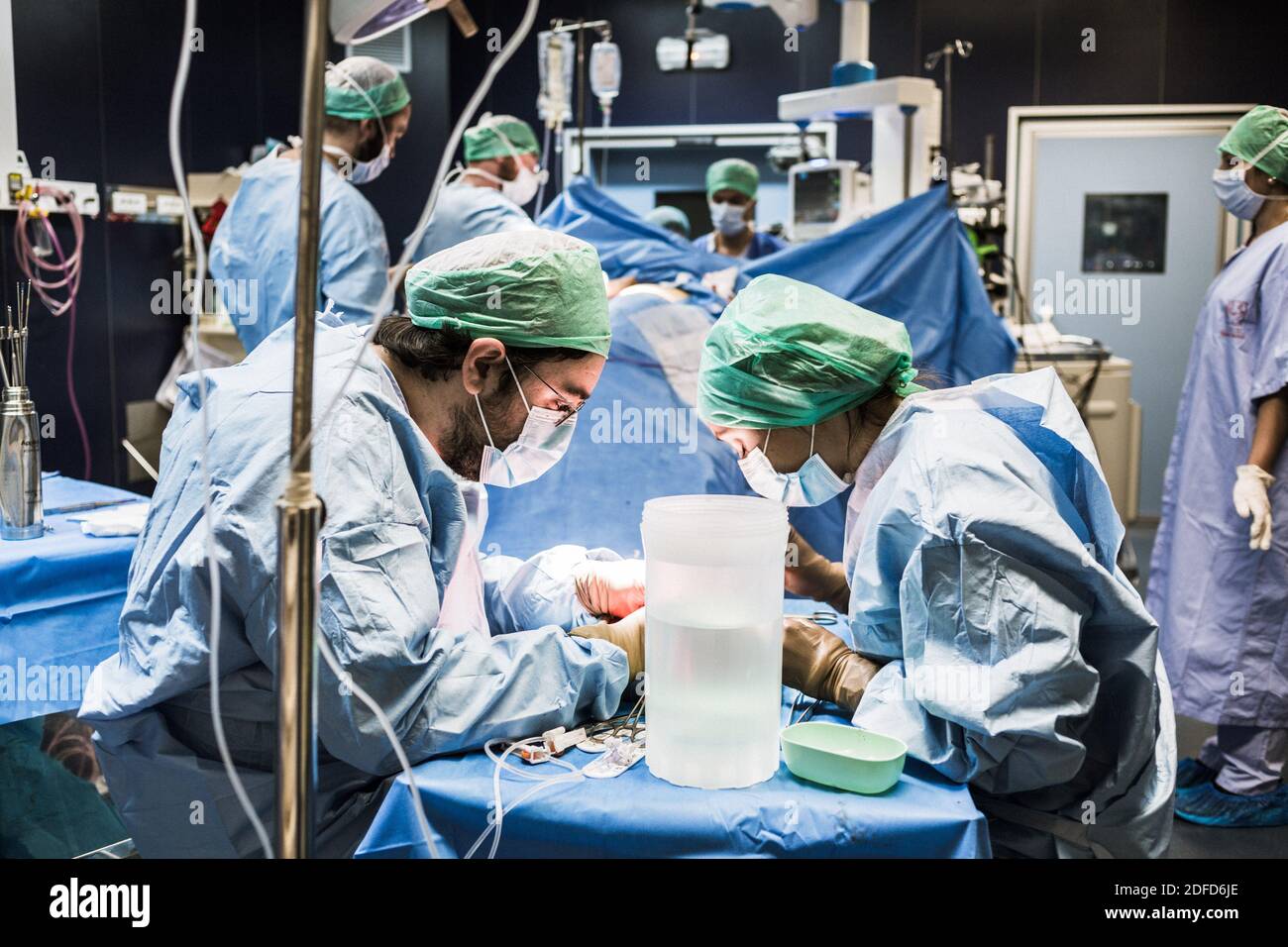 Kidney removal by laparoscopy from a living related donor, the surgeon