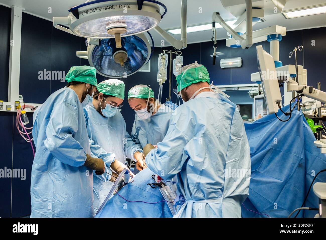 Kidney removal by laparoscopy from a living related donor, Bordeaux hospital, France. Stock Photo