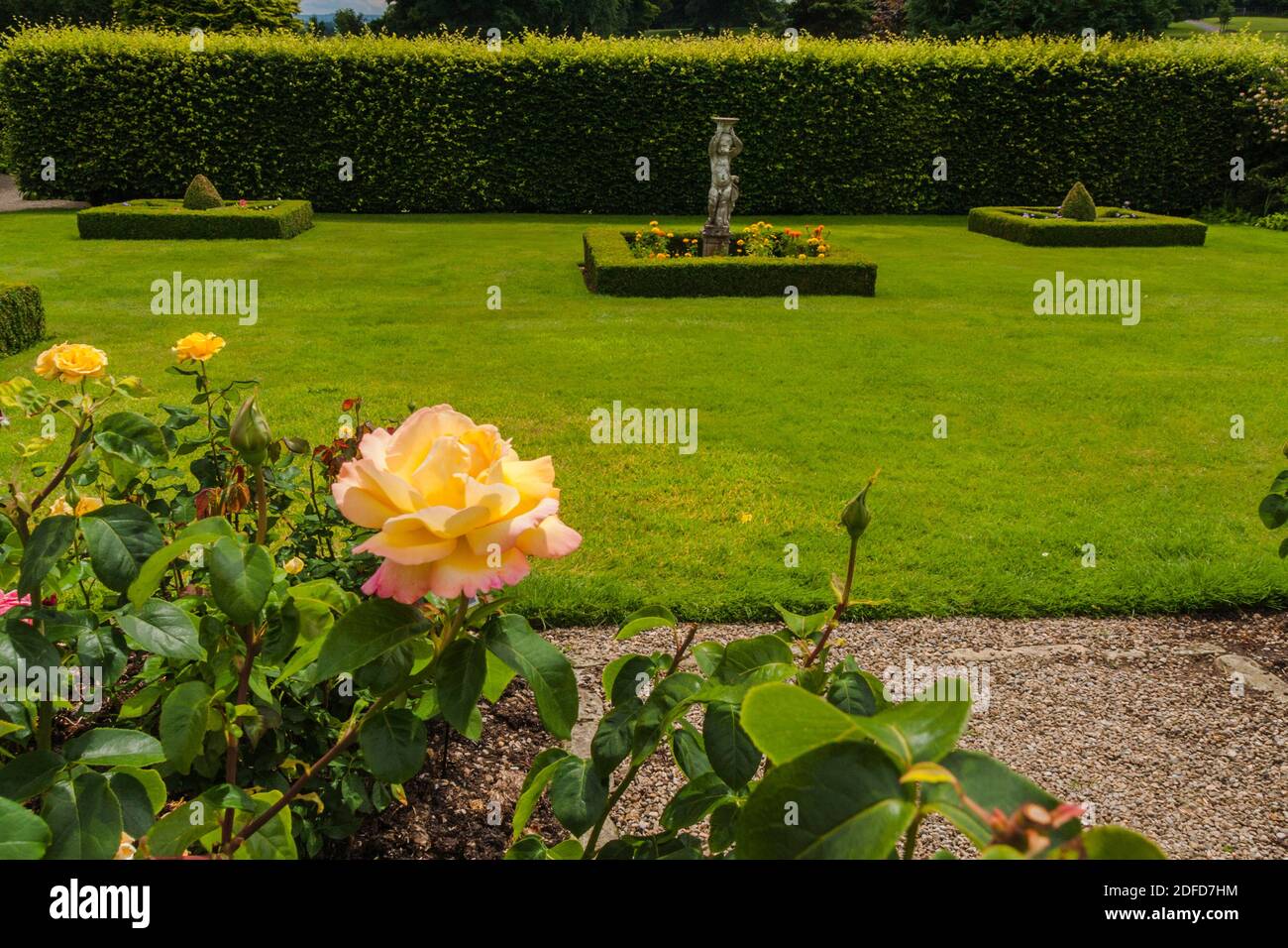The colourful rose gardens at Raby Castle,Staindrop,Co.Durham,England