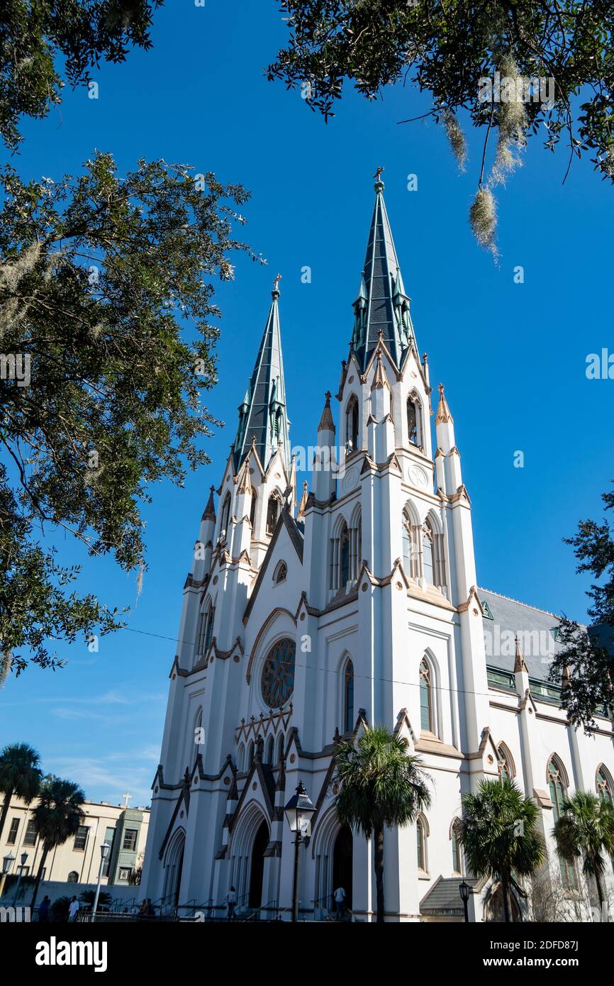 Cathedral Basilica of St. John the Baptist through the trees in ...