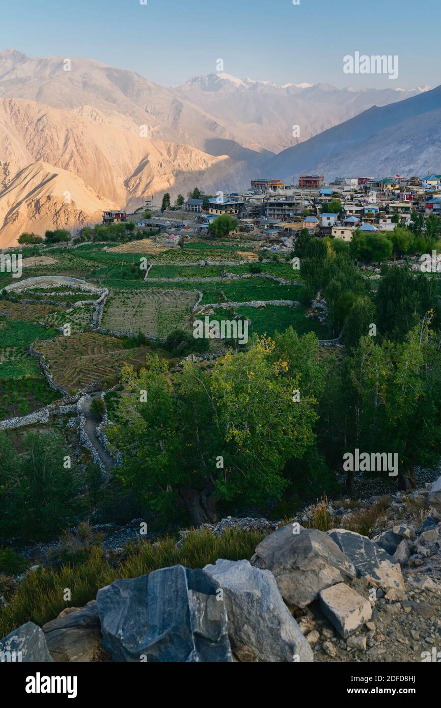 Elevated view of village agricultural fields with dry stone walls with rugged Himalayas in background on bright summer morning in Nako, Himachal Prade Stock Photo