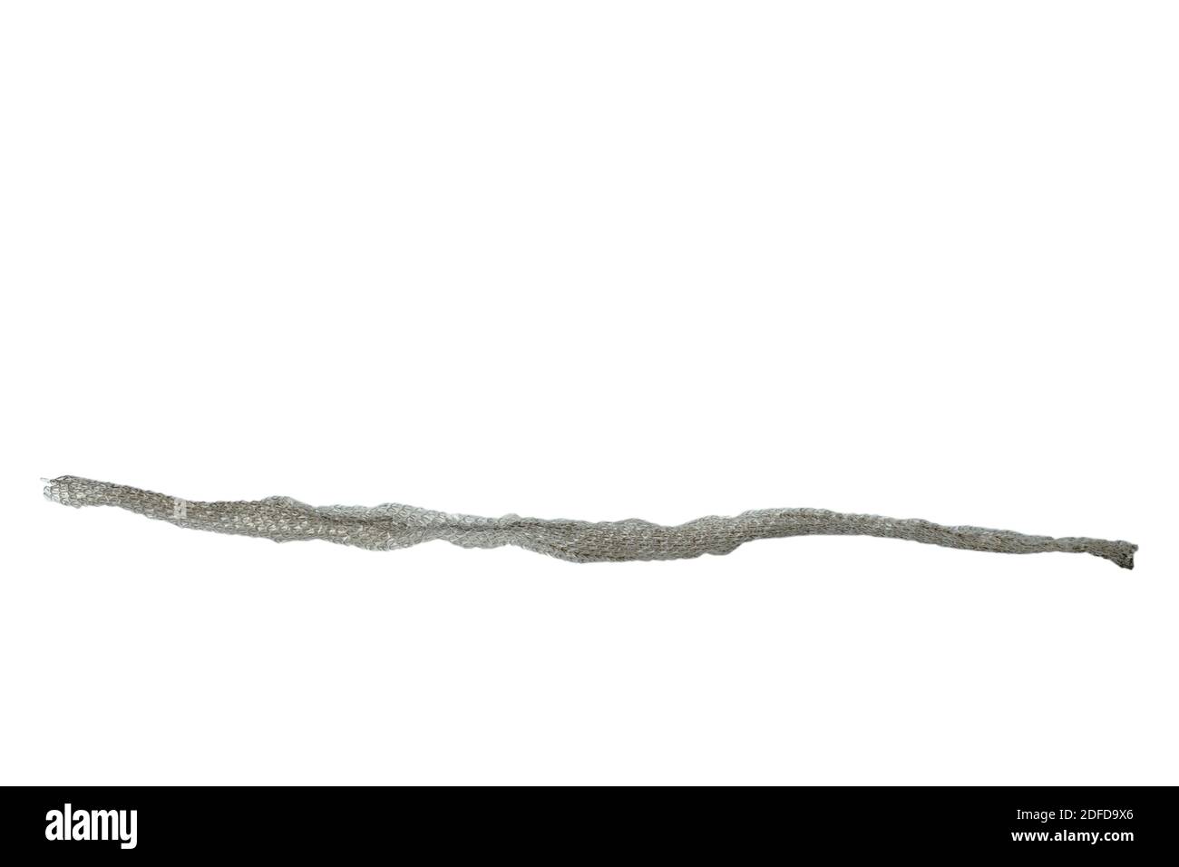 snake slough skin on white background Stock Photo