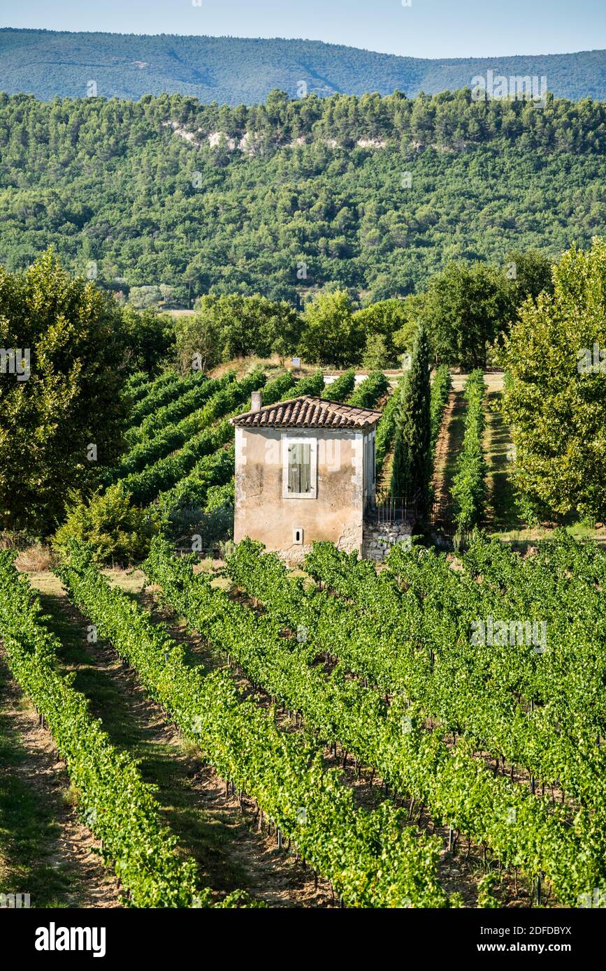 Street Of The Village Goult Provence France Europe Stock Photo Alamy