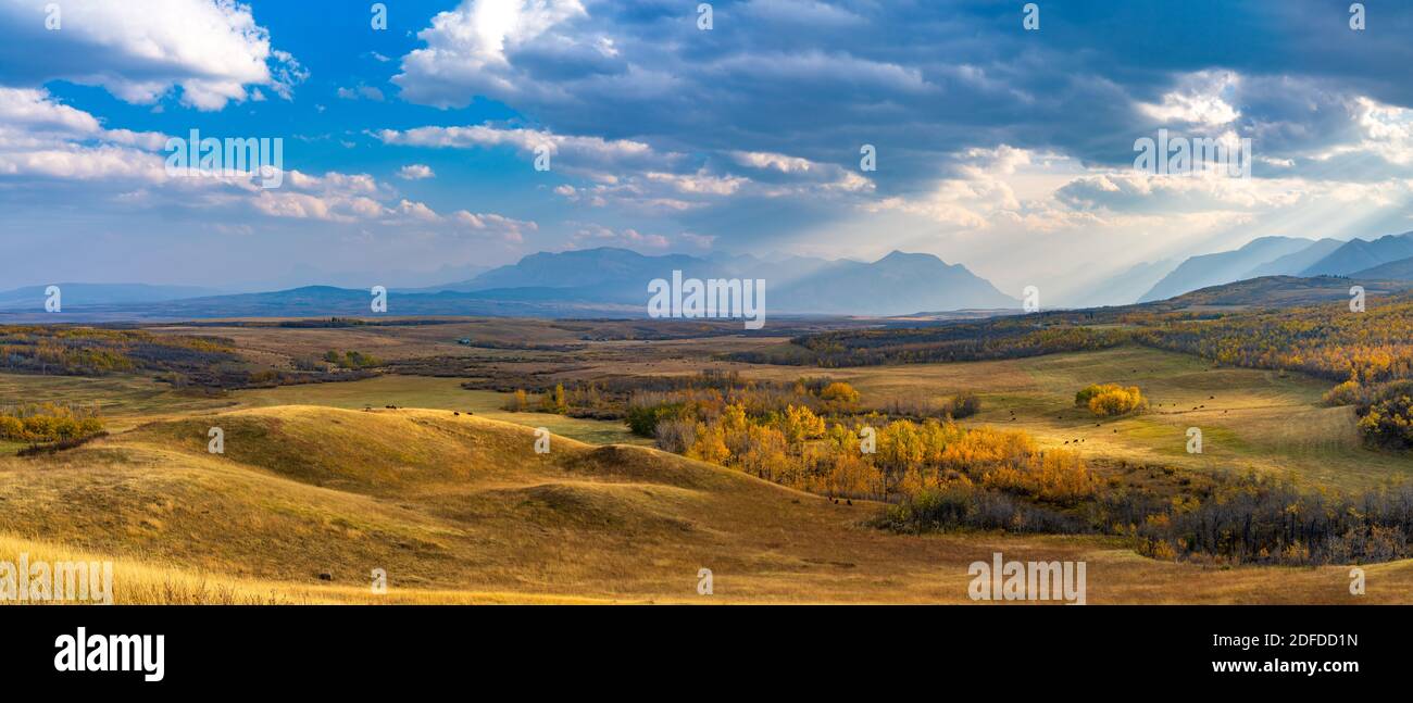 Vast prairie and forest in beautiful autumn. Sunlight passing blue sky and clouds on mountains. Fall color landscape background. Waterton Scenic Spot, Stock Photo