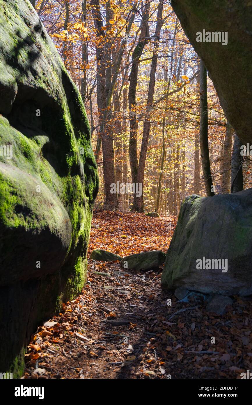 Entre dos grandes rocas encantadas podemos ver el bosque las rodea en plena caida de sus hojas.  Santuari of Salud, Catalonia, Spain Stock Photo