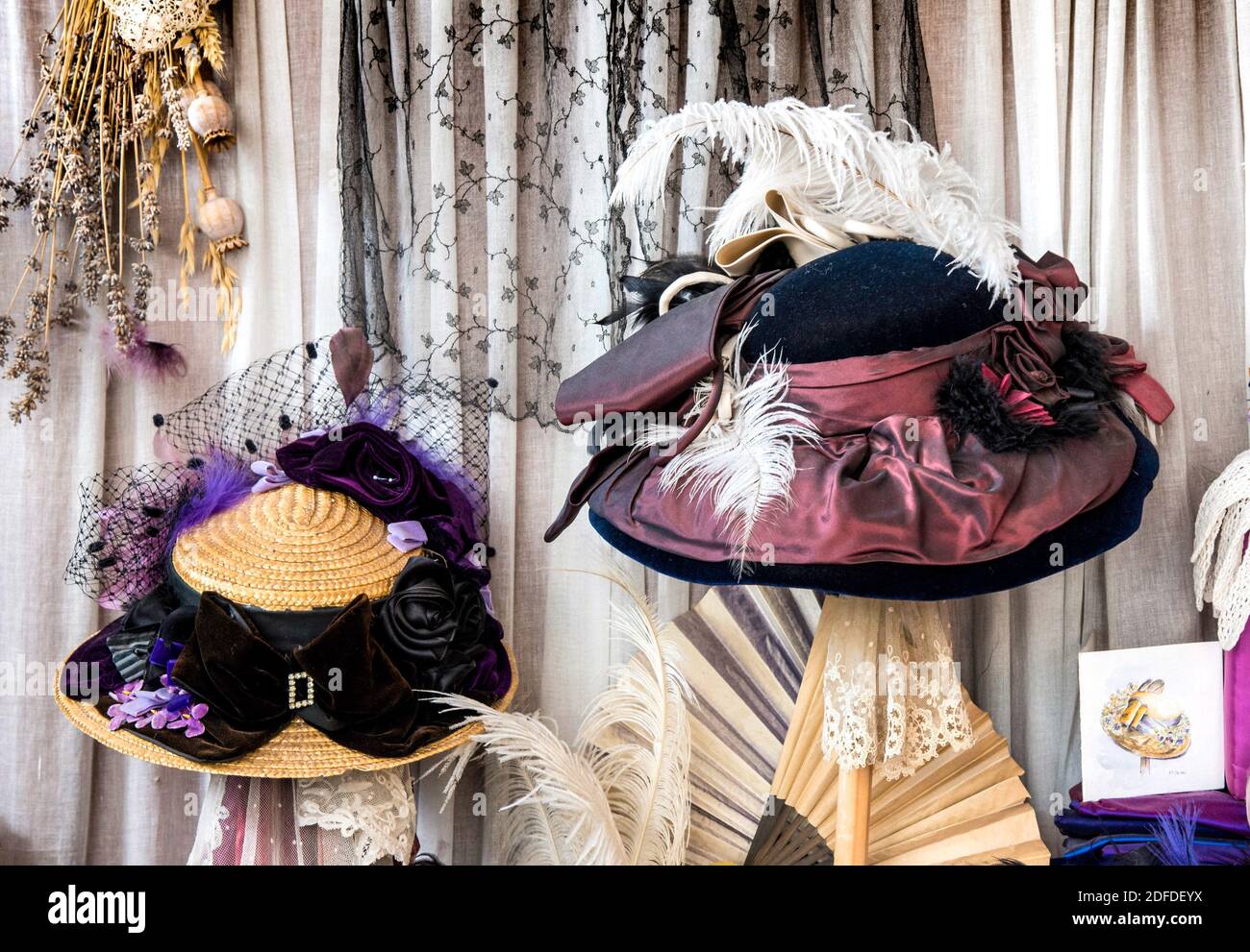 Ladies hats feathers hi-res stock photography and images - Alamy