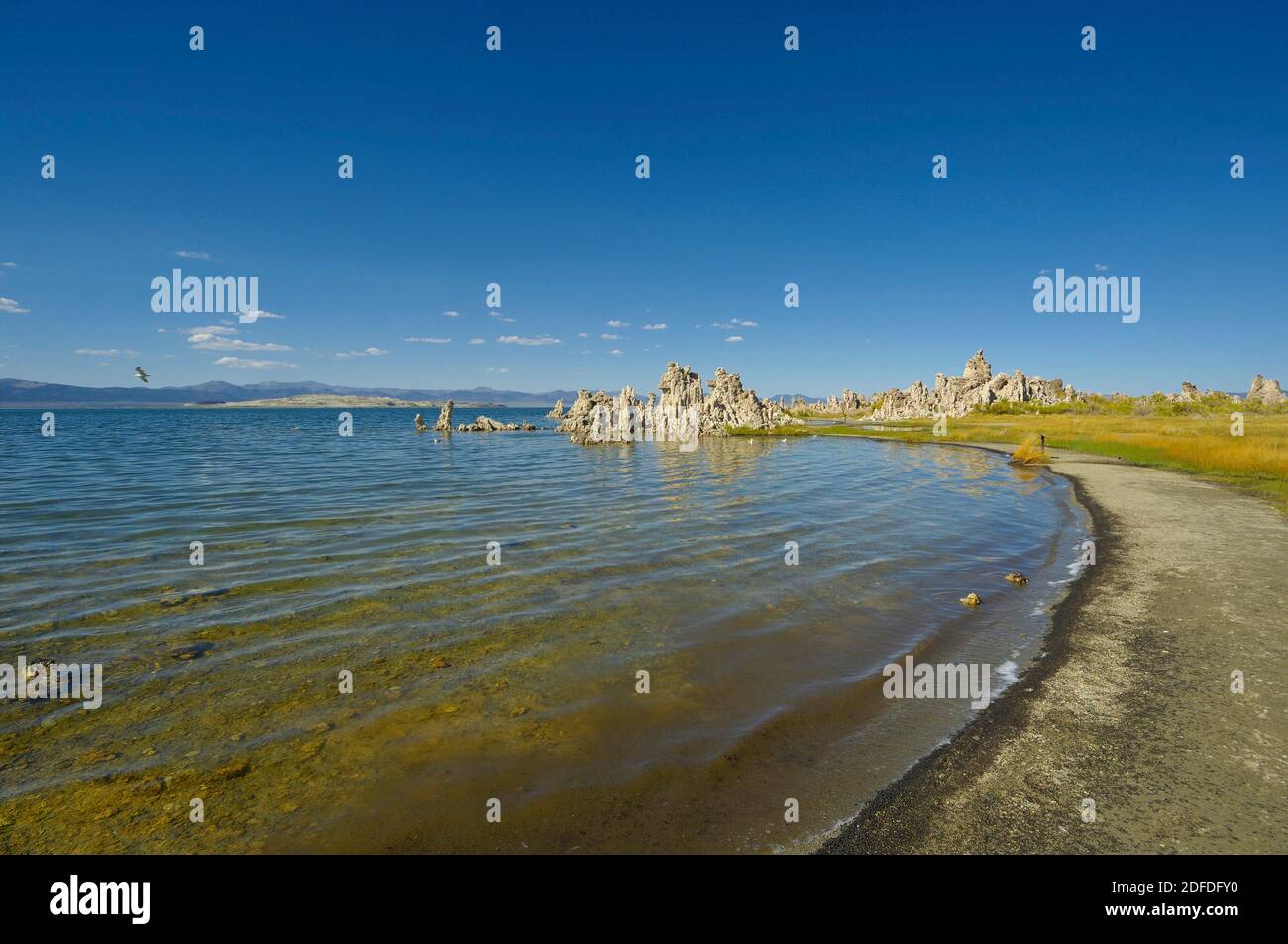 Mono Lake, California, USA Stock Photo Alamy