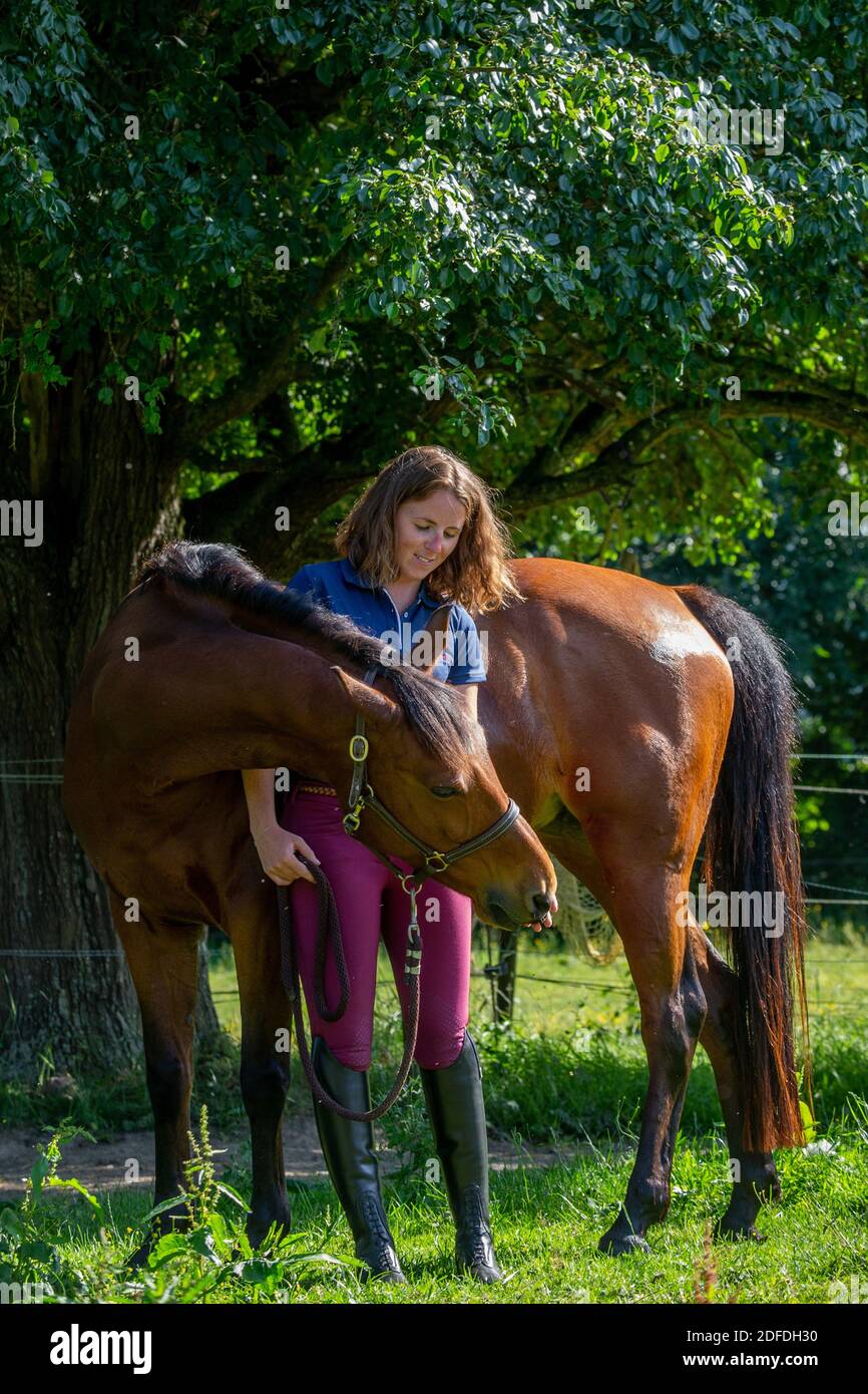 AFFINITY BETWEEN A YOUNG WOMAN AND HER HORSE, NORMANDY Stock Photo