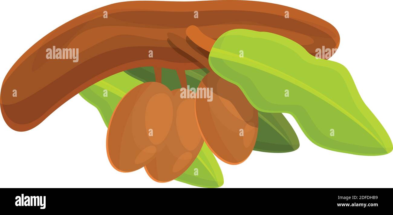 Shea Tree Wood Branch Icon Cartoon Of Shea Tree Wood Branch Vector Icon For Web Design Isolated On White Background Stock Vector Image Art Alamy