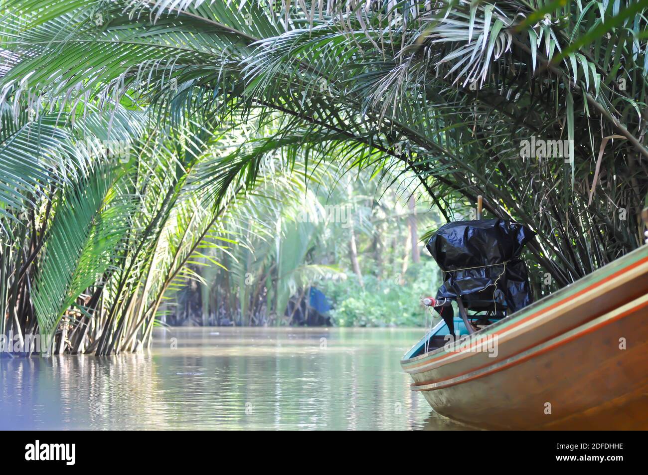 mangrove palm,palm or nipa palm and ship near river Stock Photo - Alamy