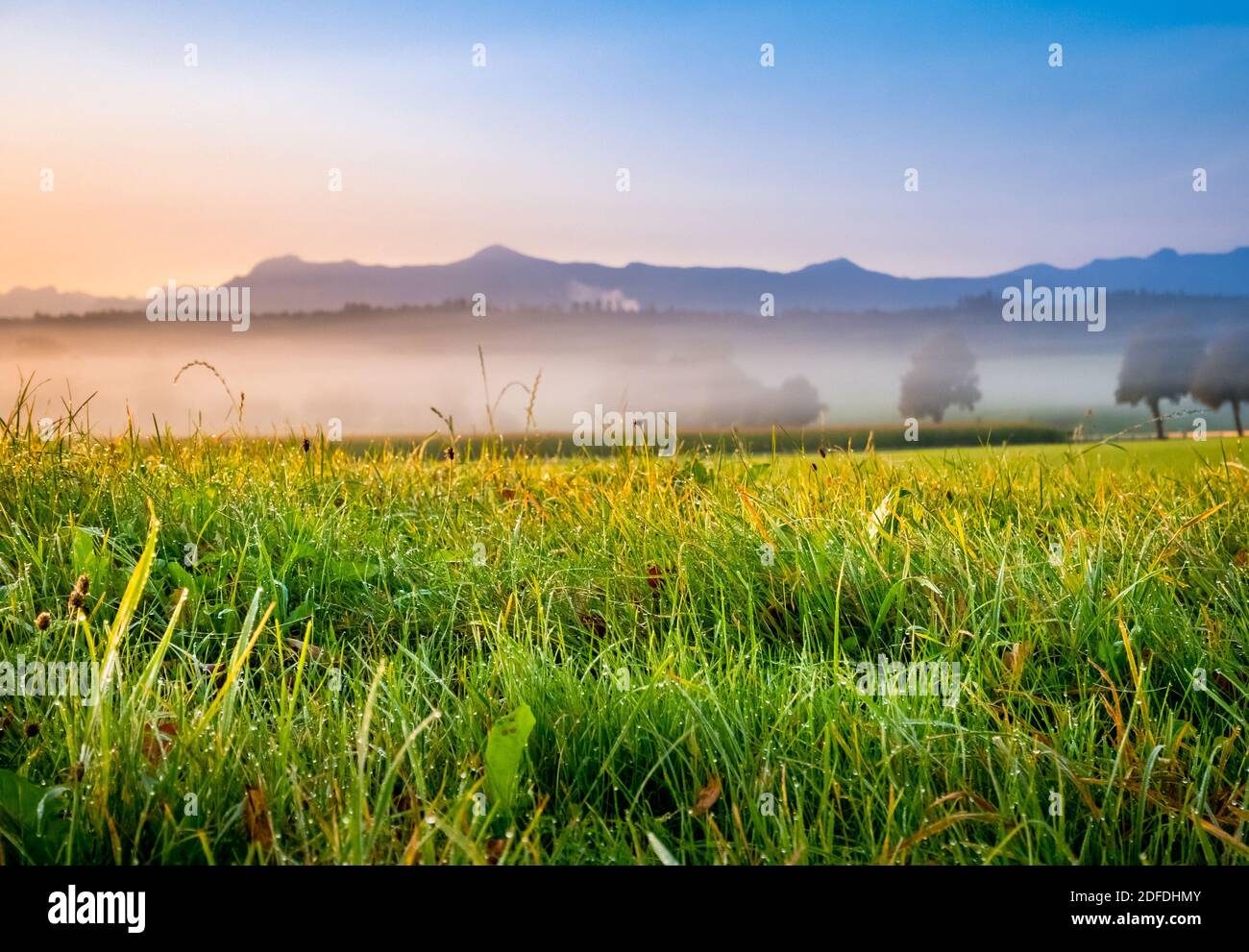 Morning fog near Etting, Blaues Land, Upper Bavaria, Bavaria, Germany, Europe Stock Photo