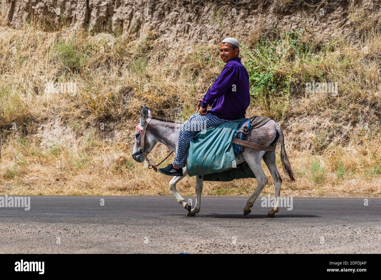 Donkey rider near Istaravshan, Tajikistan Stock Photo