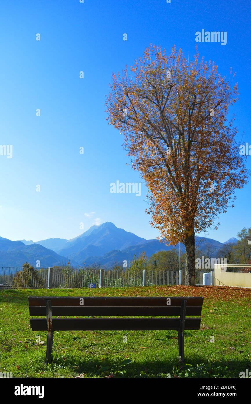 Away from city noise, nature and mountain overlooking garden. Old bench for couples to enjoy, clear blue sky and orange leaves on the ground Stock Photo