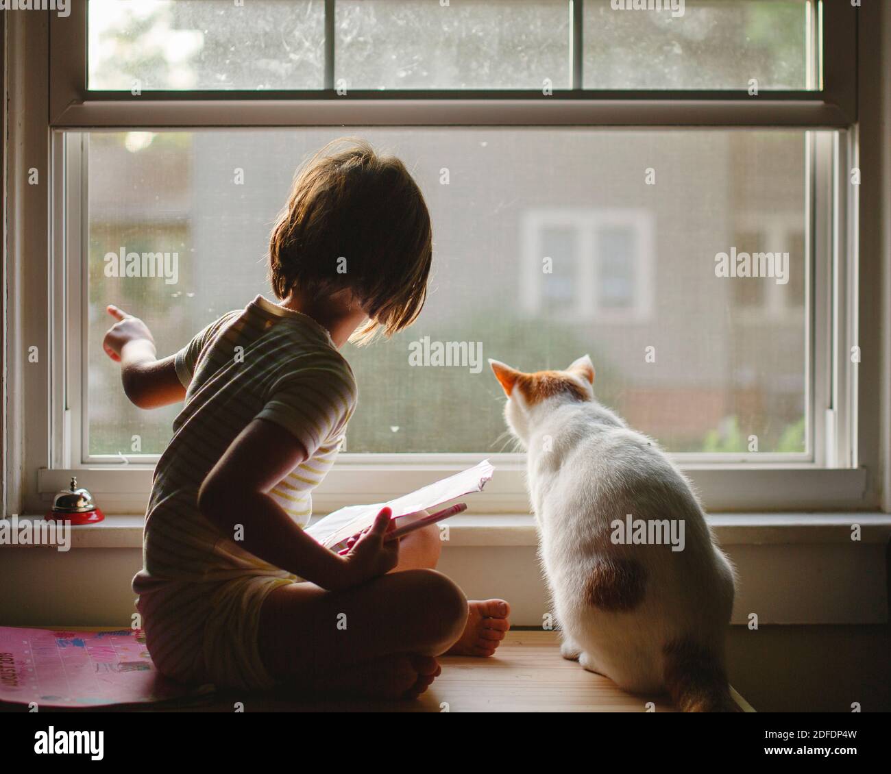 cat bench for window