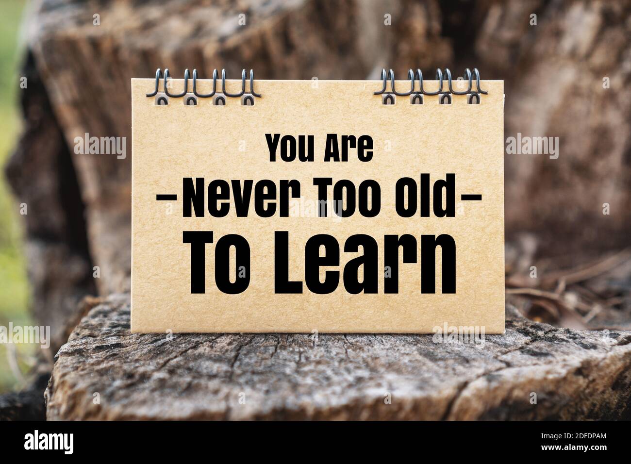 Inspirational and Motivational Quote. You Are Never Too Old To Learn. Rustic Paper on Wood. Stock Photo