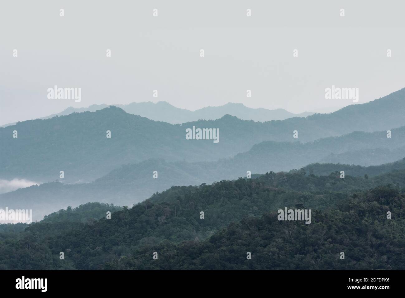 Morning View Misty Borneo Rainforest in Sabah Stock Photo