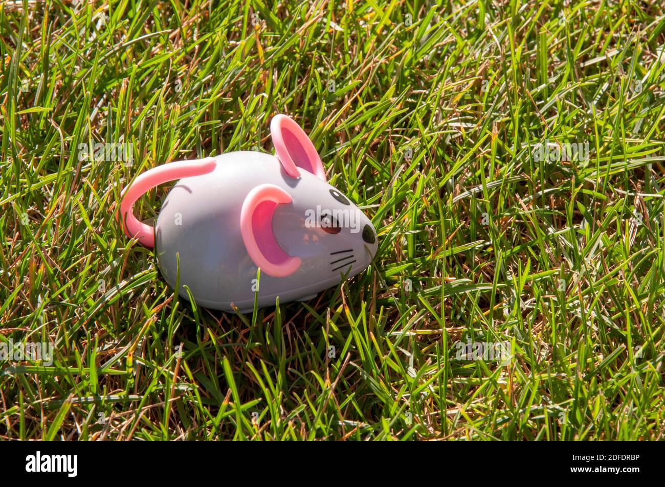 Children's toy plastic mouse on a grass Stock Photo