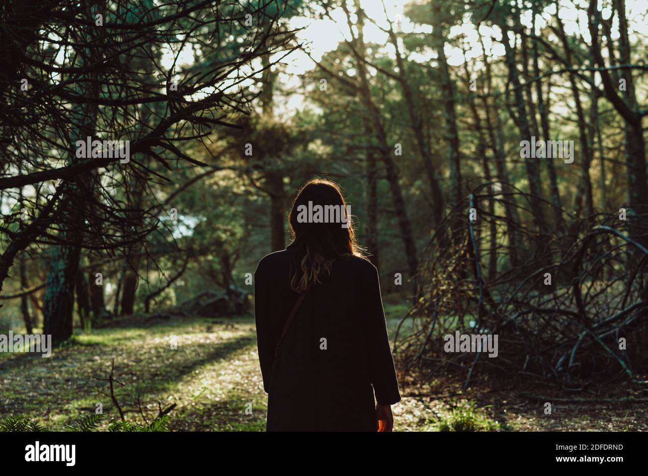 Backlit rear view image of woman standing in forest Stock Photo