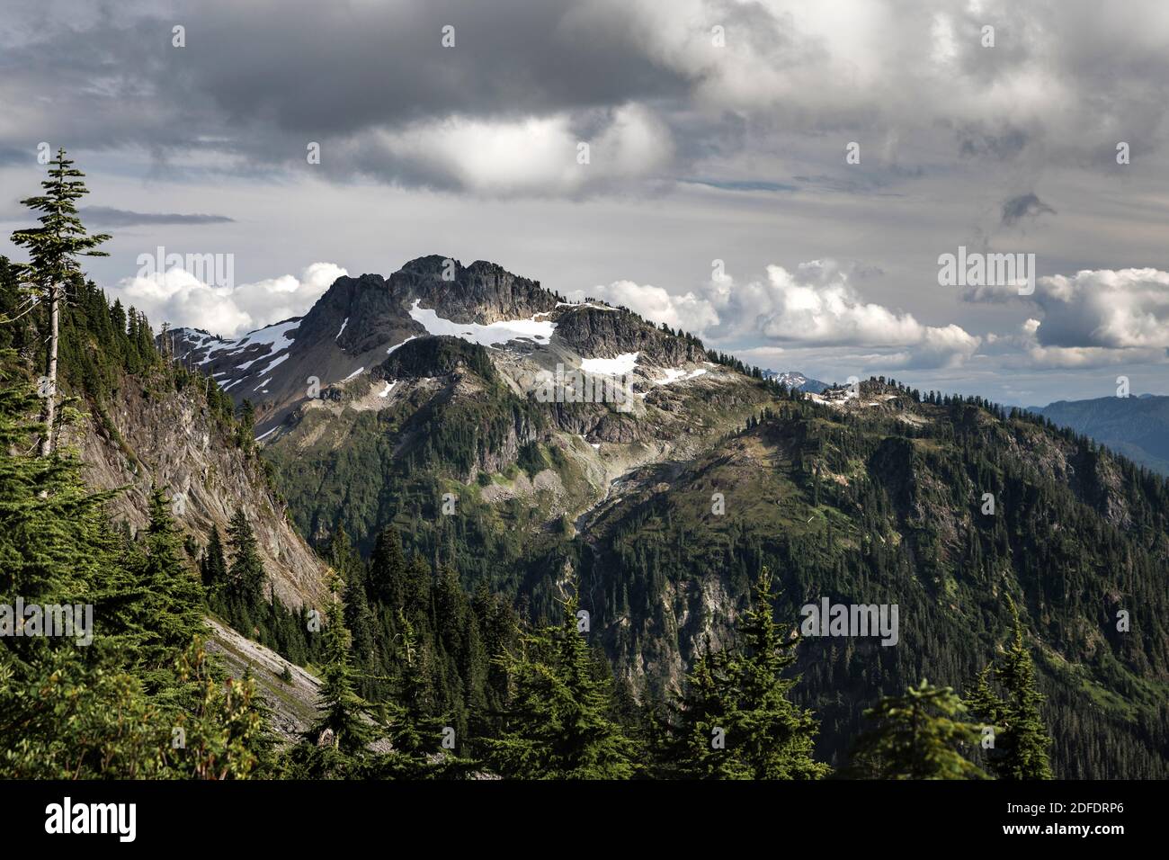 Artists point hi-res stock photography and images - Alamy