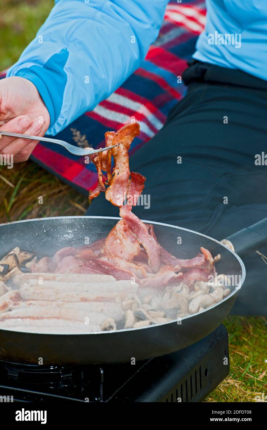 woman preparing food during picnic in South Wales Stock Photo Alamy