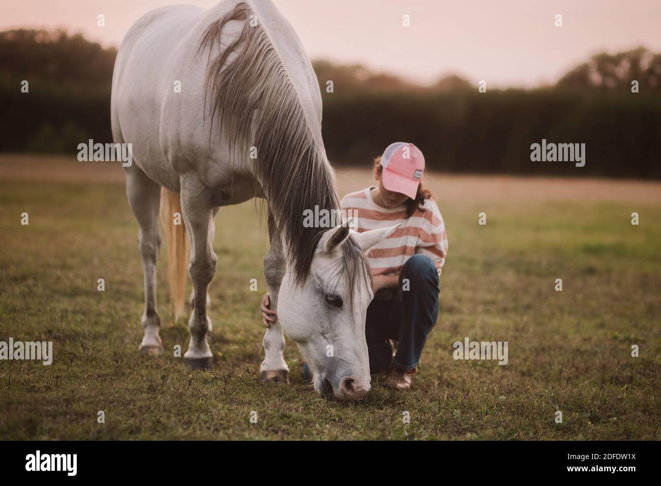 The touch of a horse Stock Photo Alamy