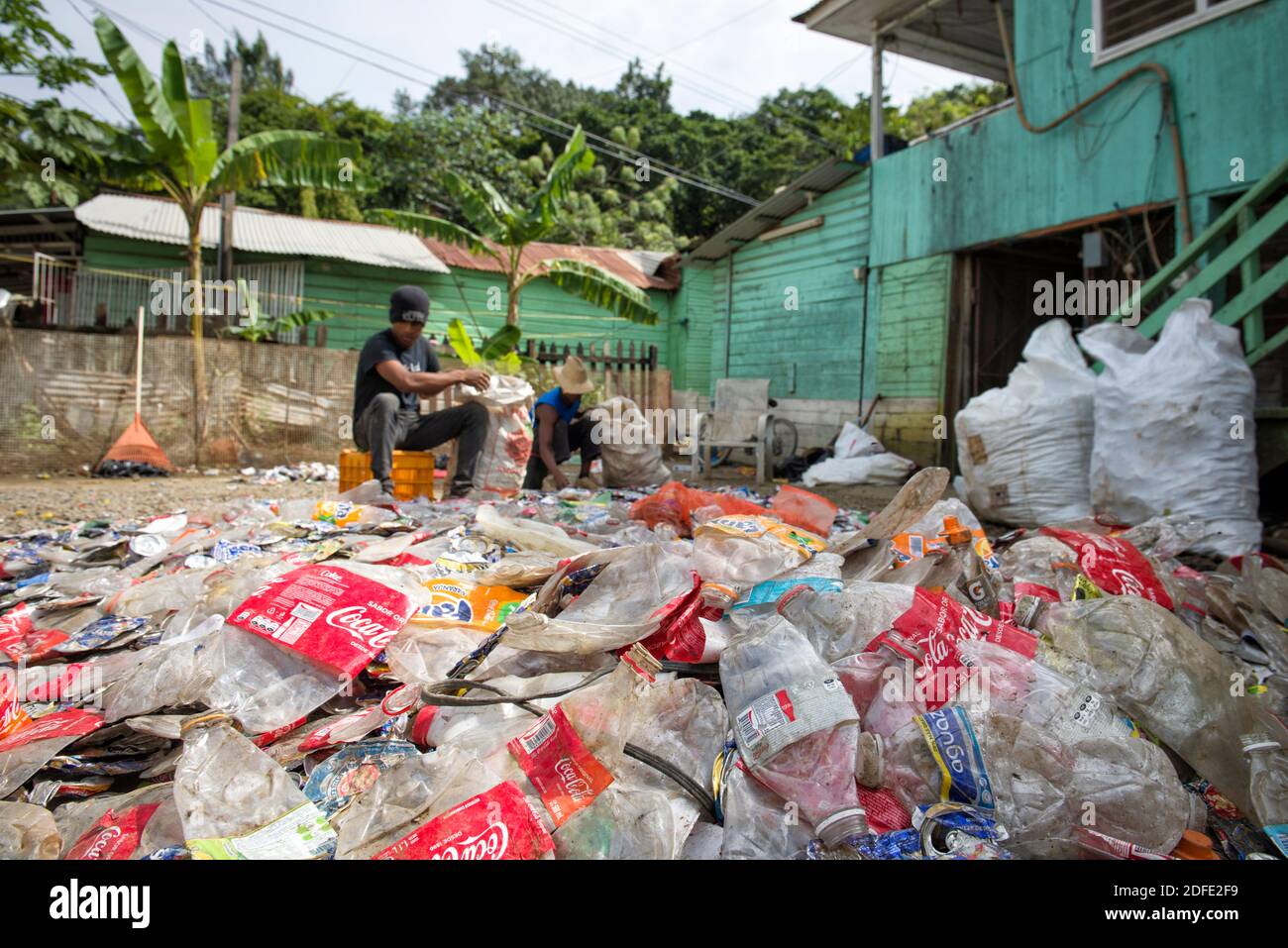 Man collecting and recycling plastic bottle. Roatan, Isla de la Bahia, Honduras Stock Photo
