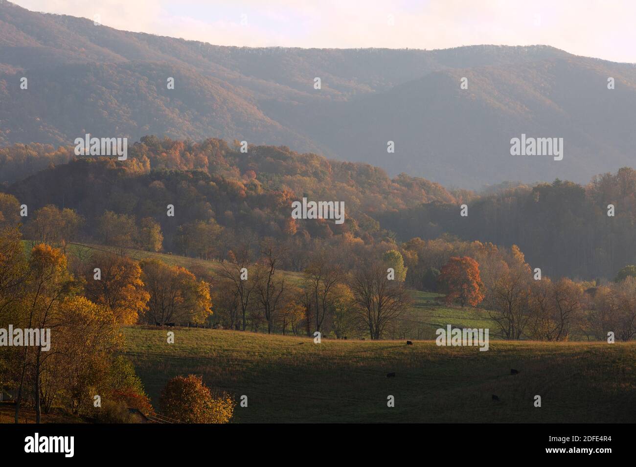 Mountain range in Appalachia in the fall with green fields Stock Photo