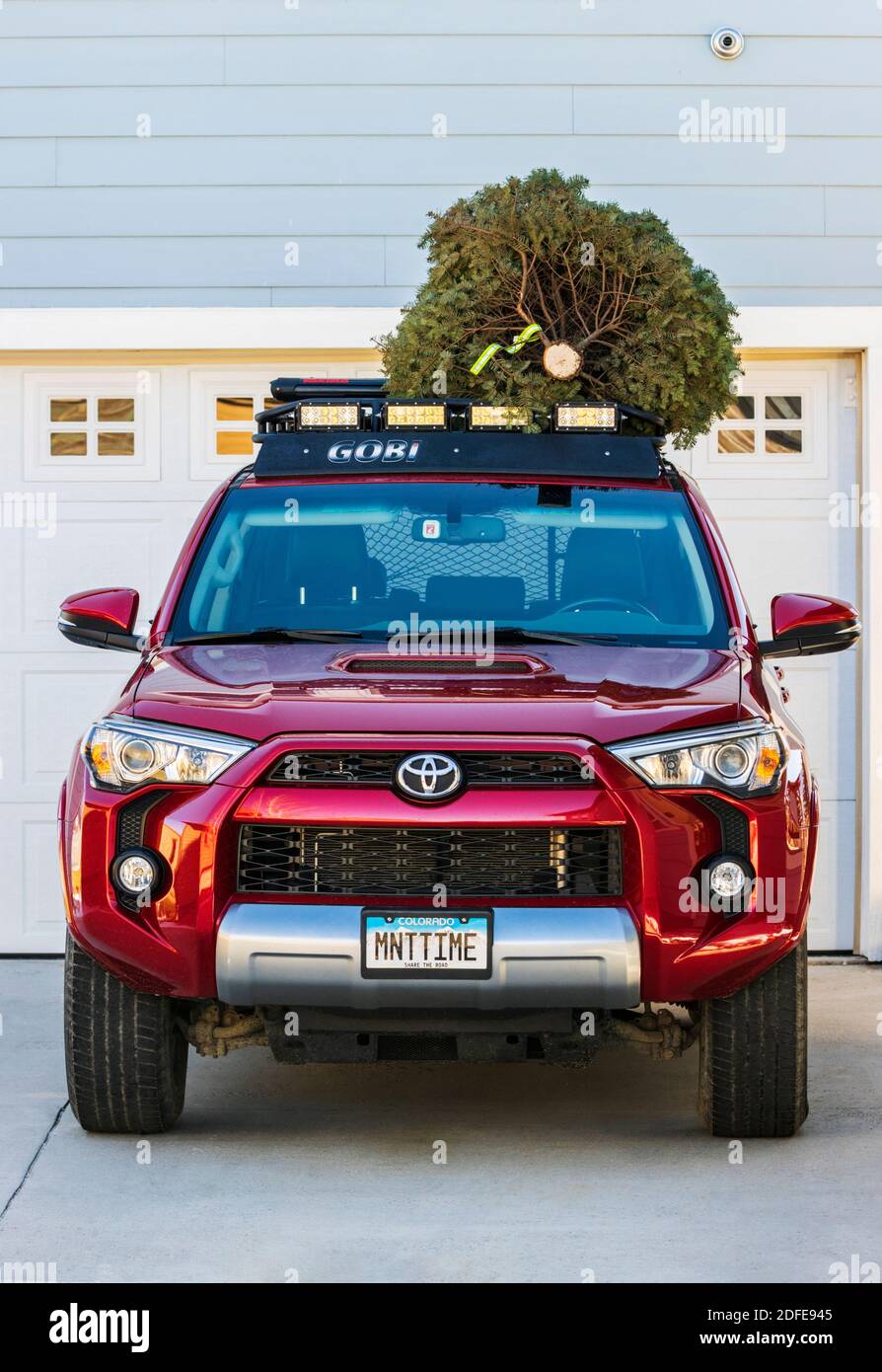 Christmas tree car roof hires stock photography and images Alamy