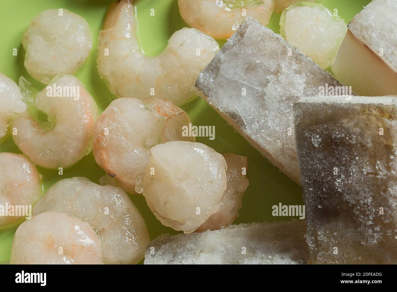 Overhead view of frozen cod loins and prawns with ice on a green platter. Frozen food, fish, and seafood. Stock Photo