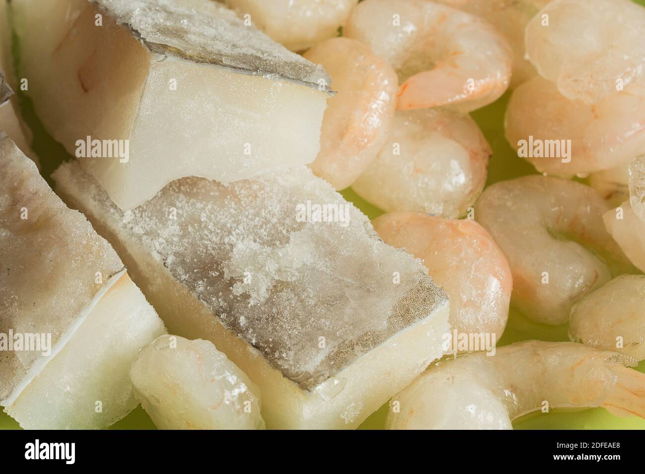 Close-up of some delicious raw cod fillets with ice glaze accompanied by some thawed prawns. Fish and seafood meat. Stock Photo