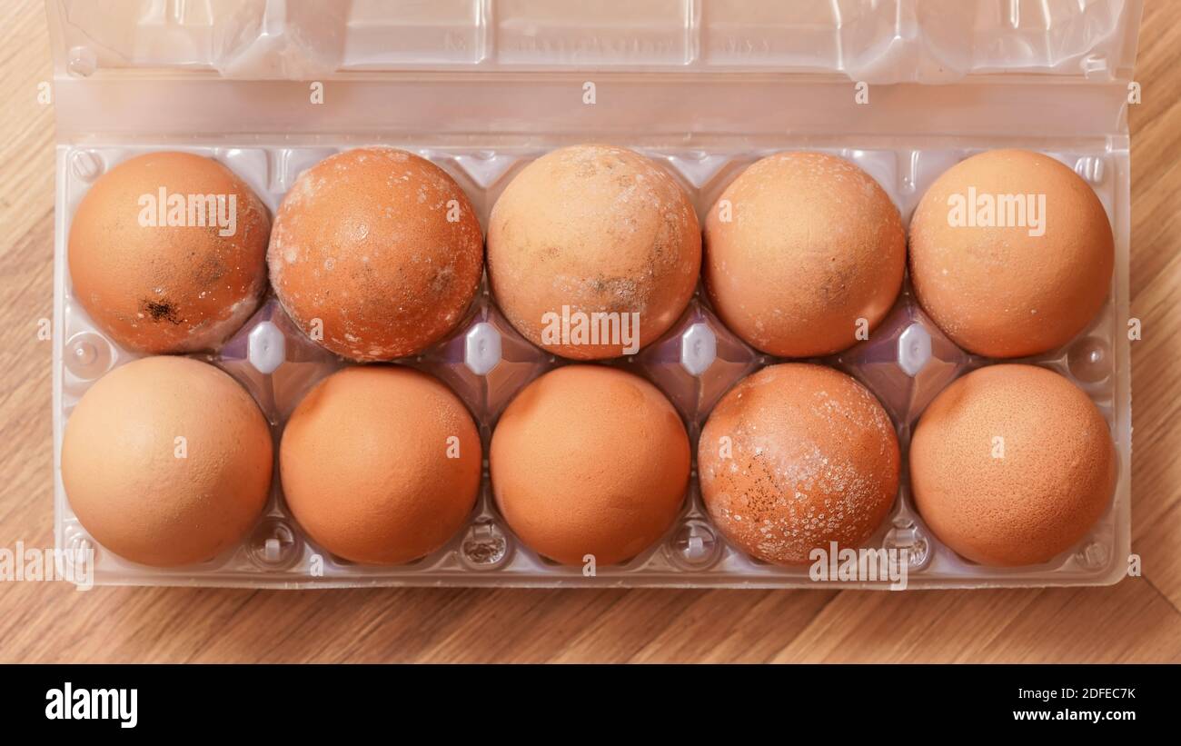 Mildew growing on mouldy eggs stored improperly in wet and cold fridge for long time. Ten pack in plastic packaging, view from above Stock Photo